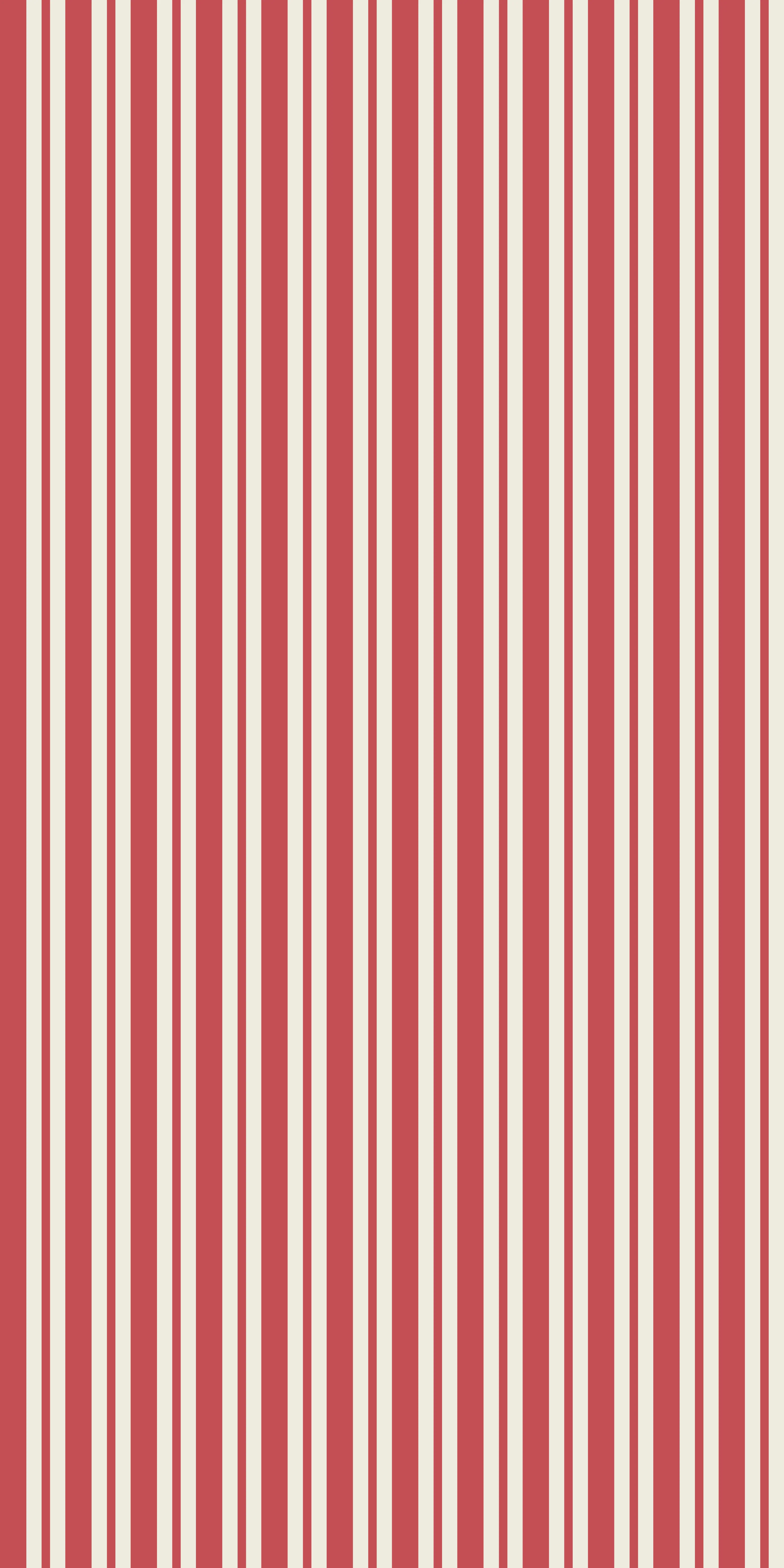 Simple Stripe - Image 3