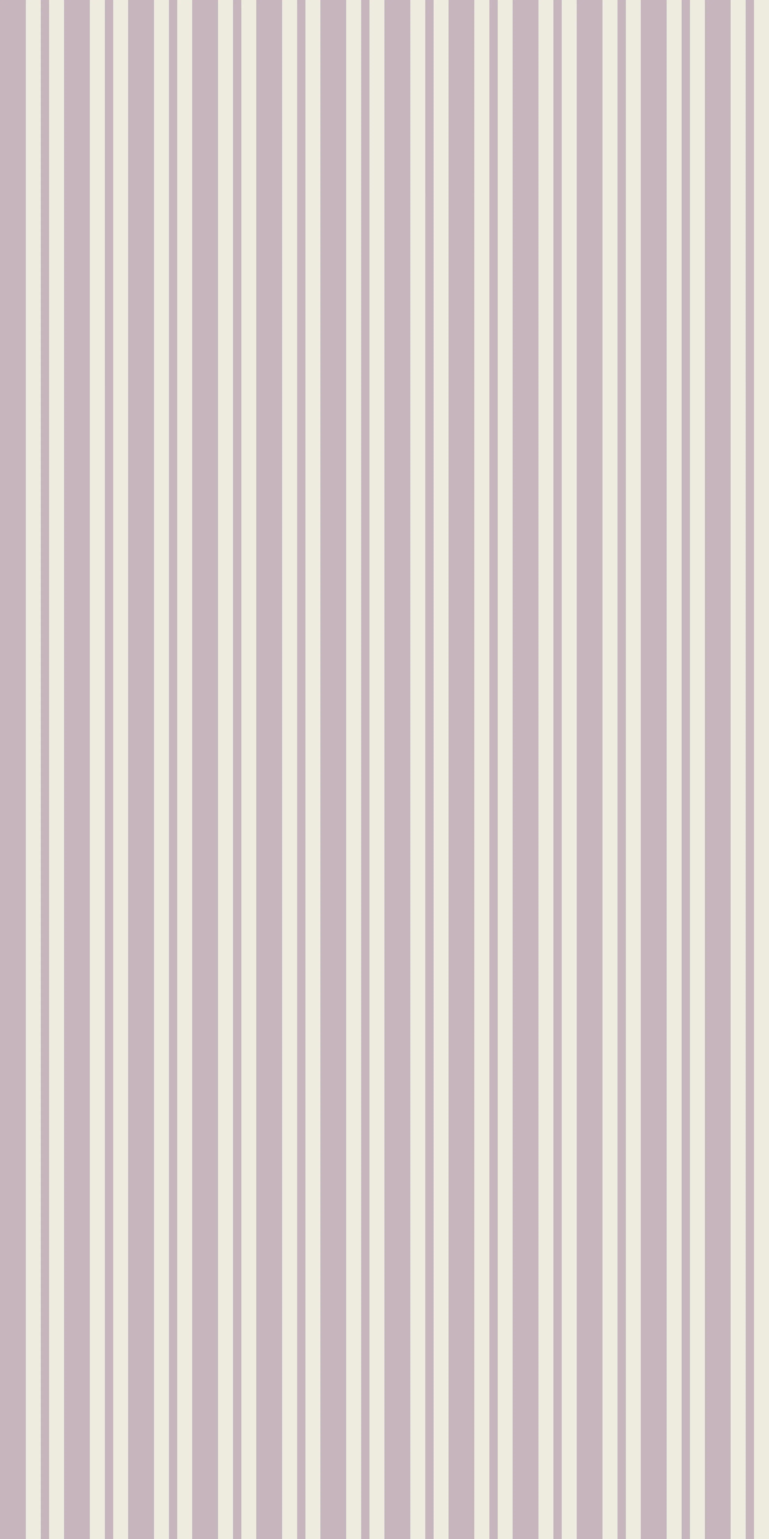 Simple Stripe - Image 4