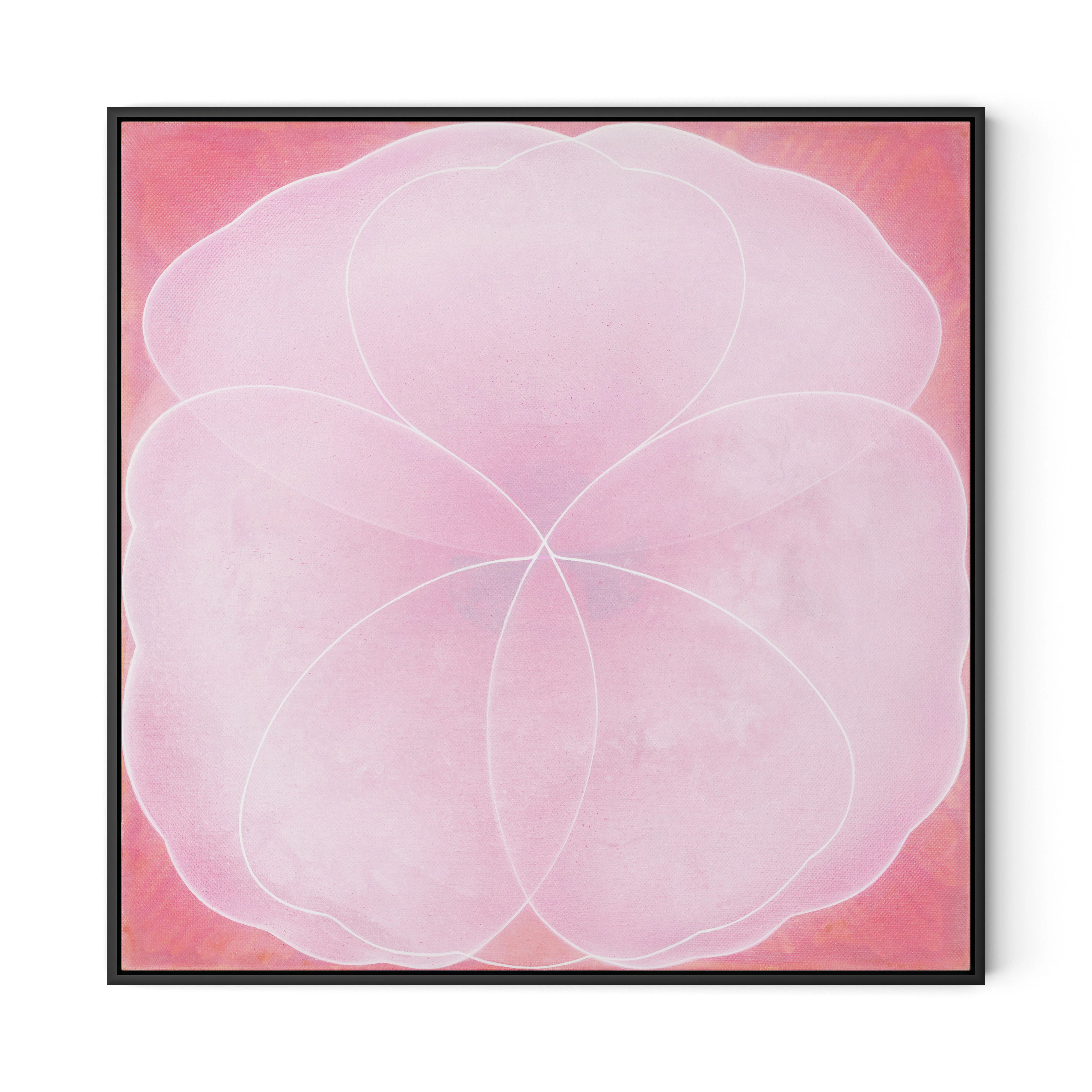 Wild Rose - Image 11