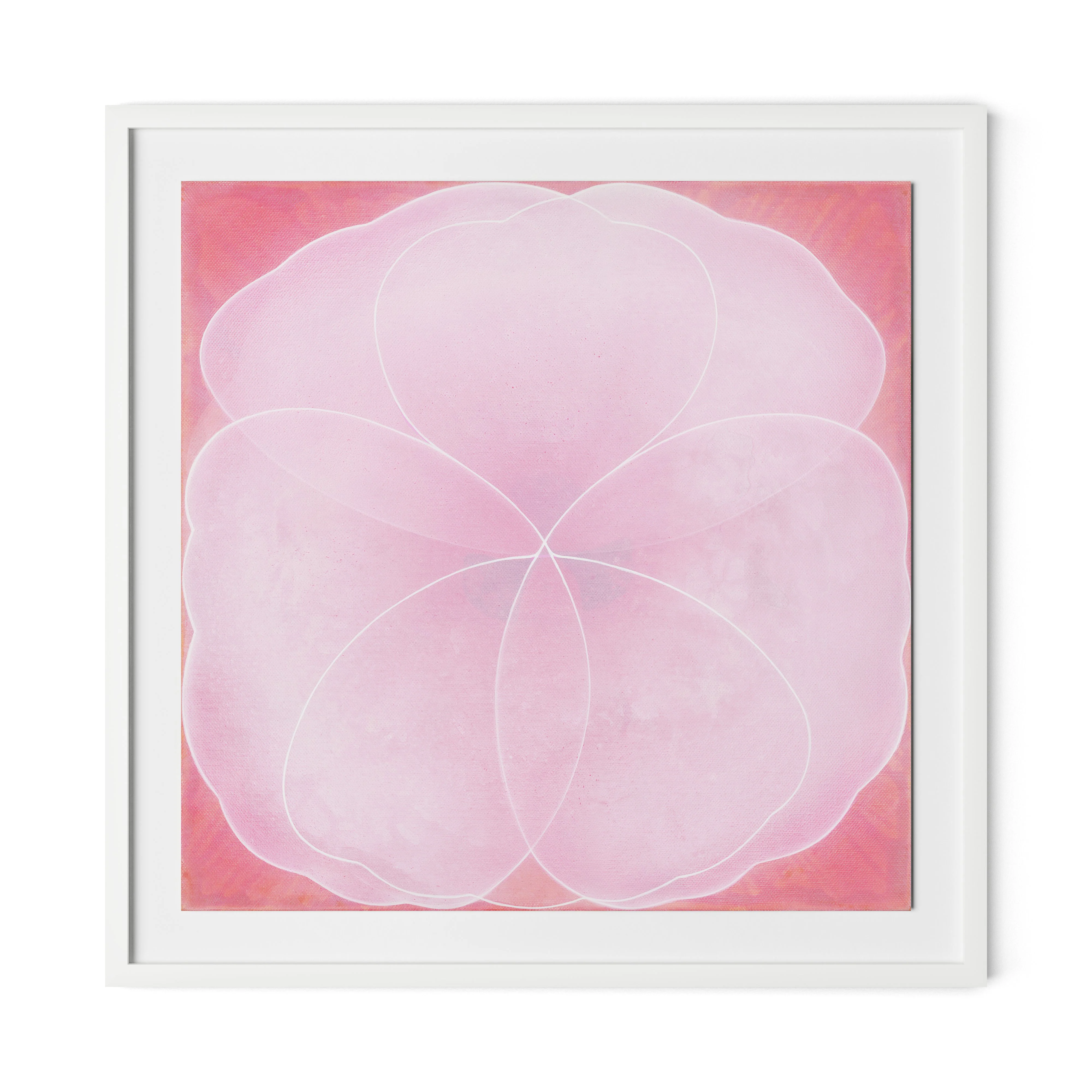 Wild Rose - Image 2