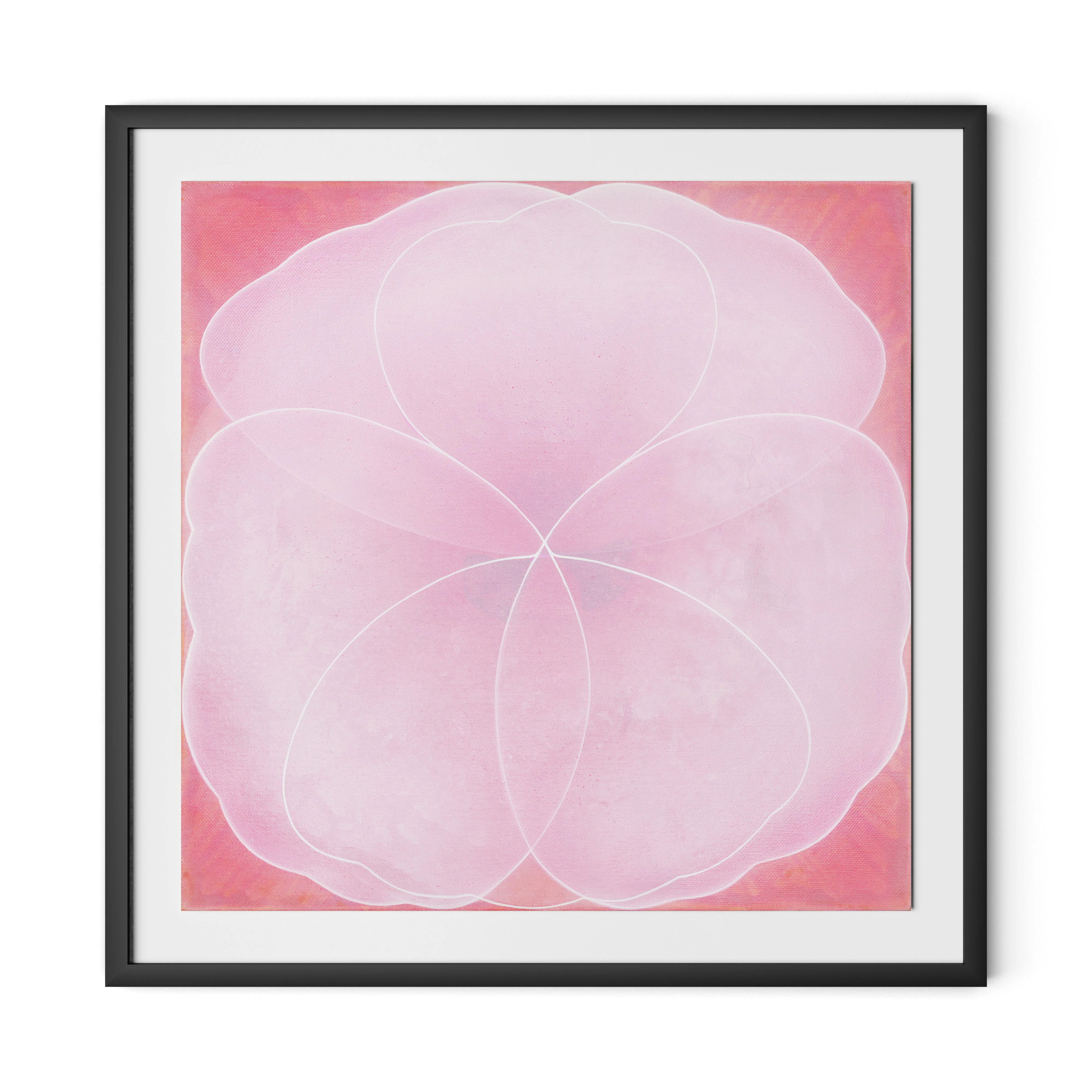 Wild Rose - Image 4