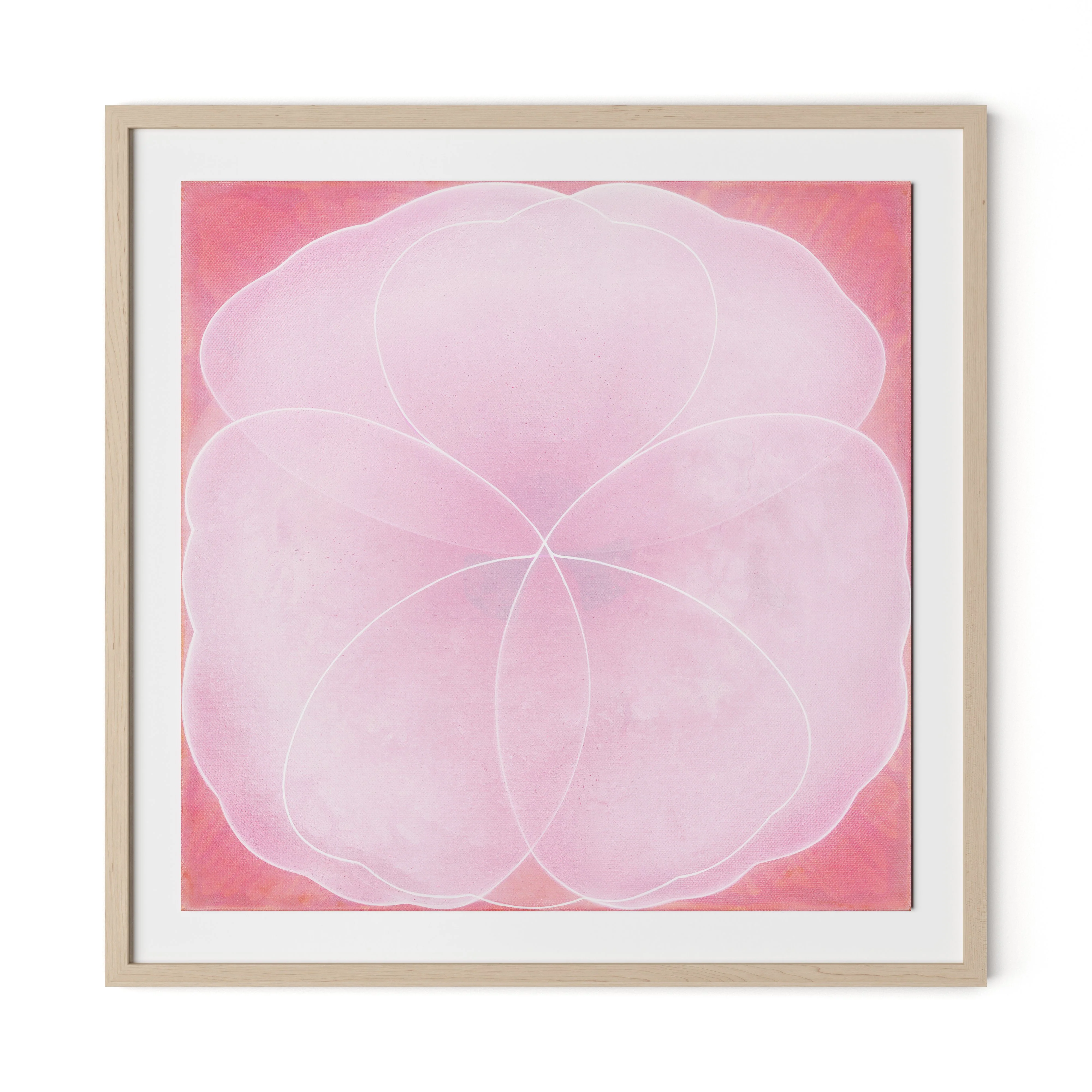 Wild Rose - Image 6