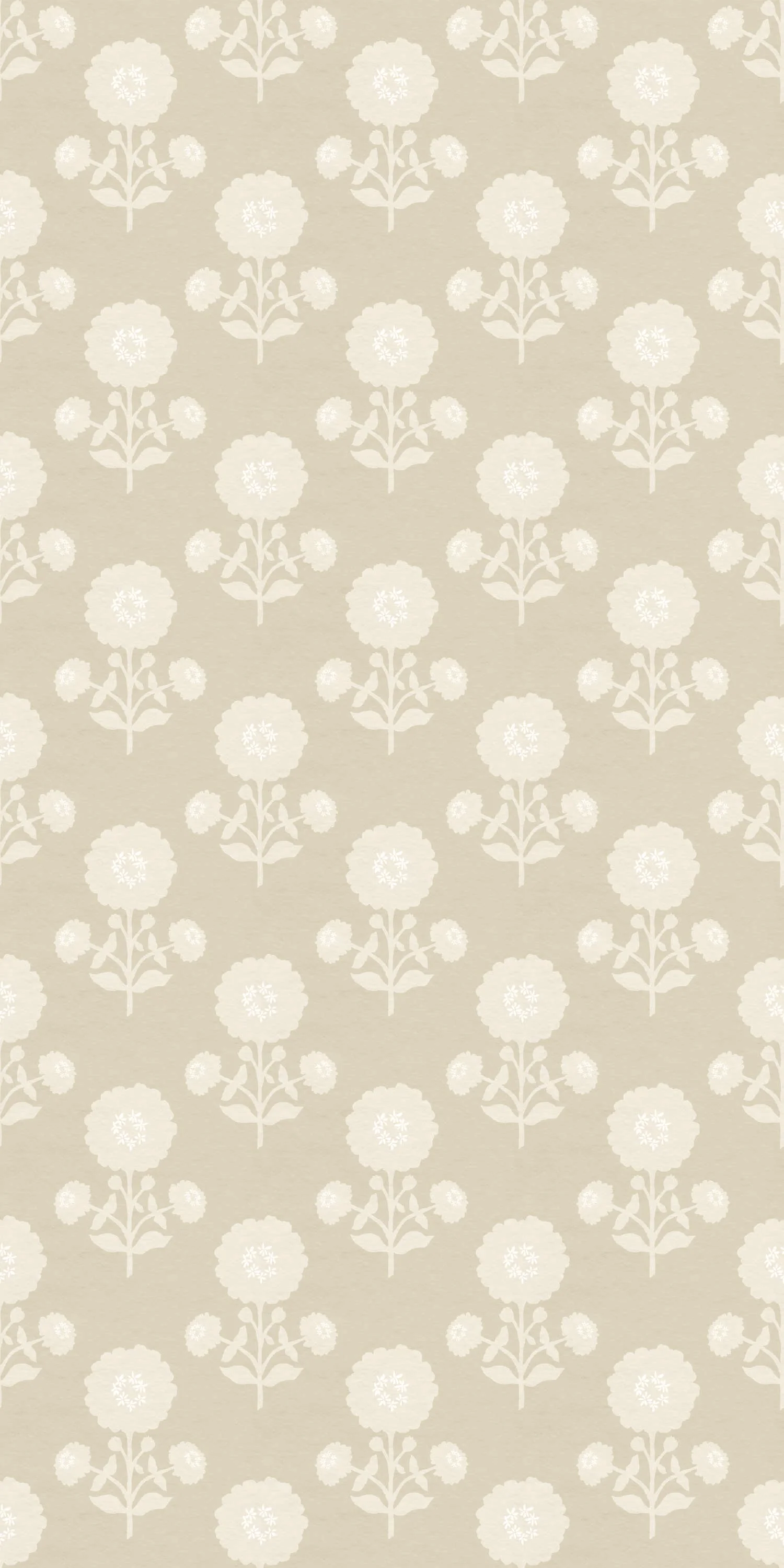 Zinnia - Image 5